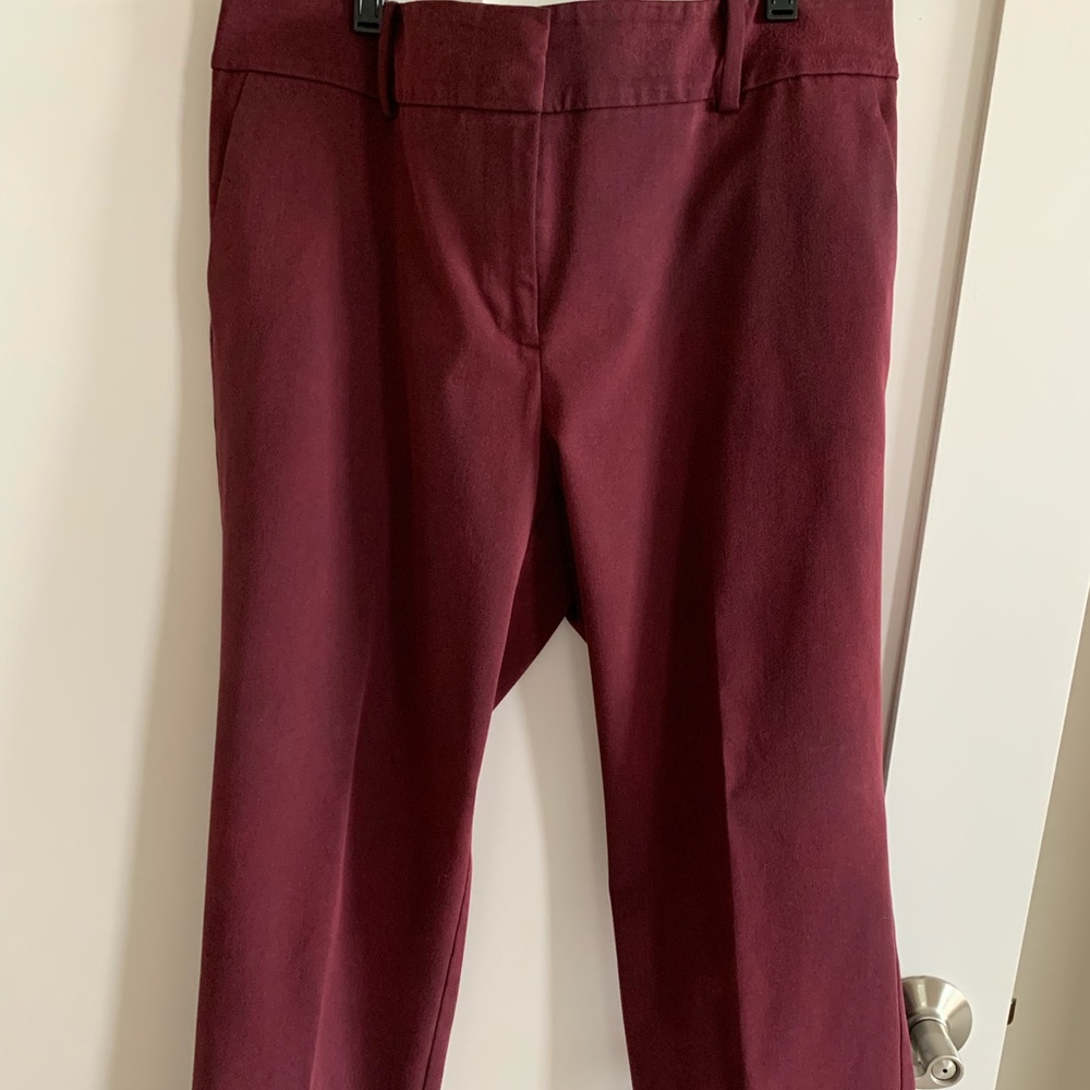 Ann Taylor size 10 Modern Cut